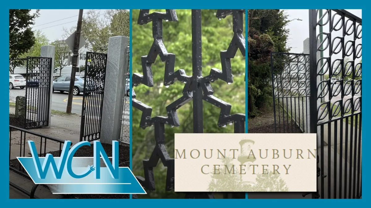 Mount Auburn Cemetery