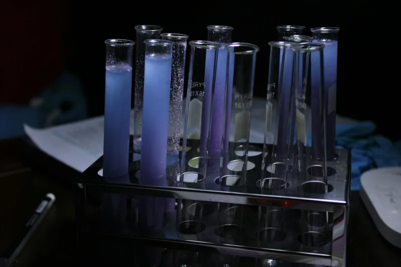 The Laboratory Mistake That Colored a Generation's Childhood